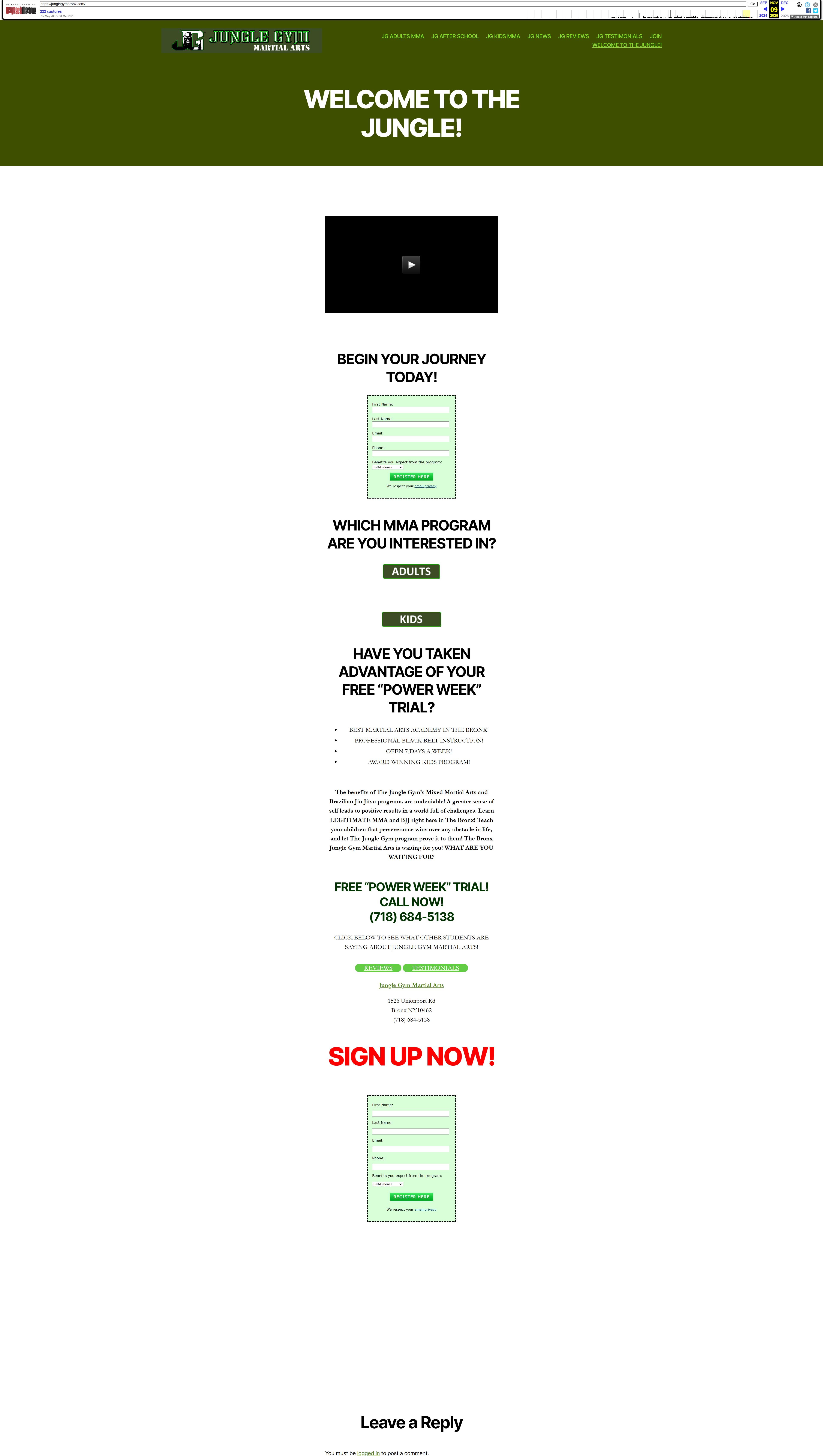 Jungle Gym Bronx old website