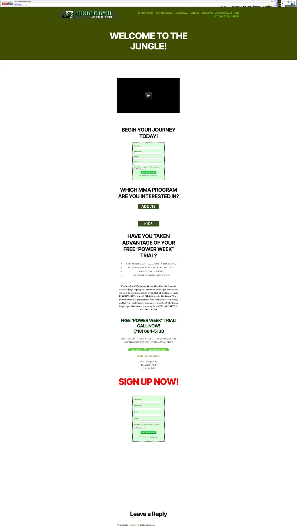 Jungle Gym Bronx old website